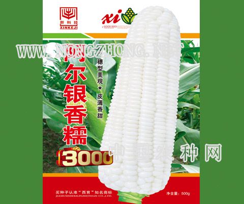 阿尔银香糯3000